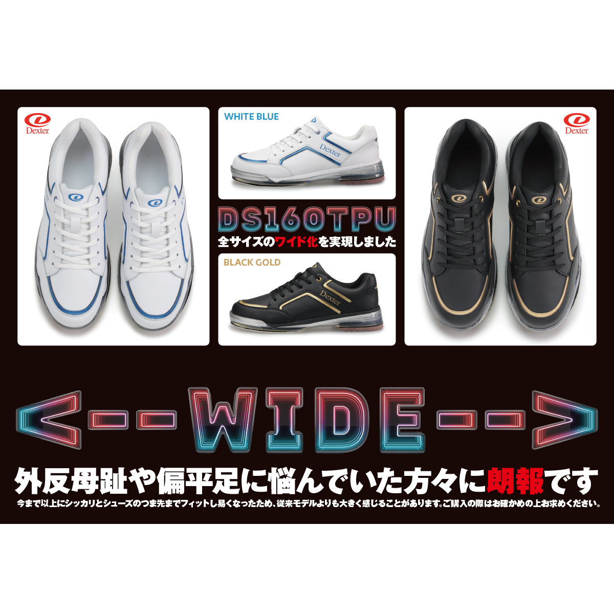Ds160・TPU(ホワイトブルー・左右兼用)